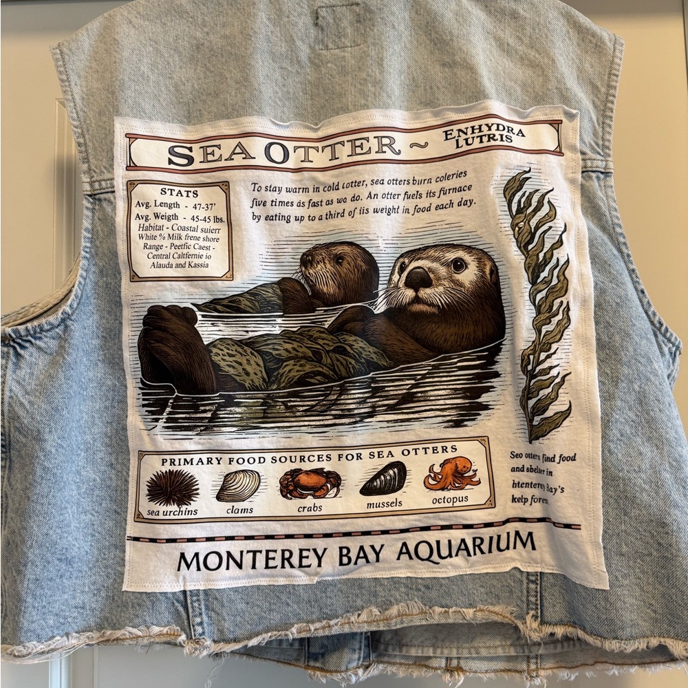Sea Otter Graphic Denim upcycled Taylor Swift inspired Jean jacket